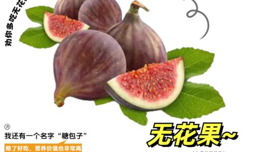 按摩膻中穴的神奇功效-按压膻中穴有什么功效网—知名的按压膻中非常疼网站,分享按压膻中穴有什么作用知识